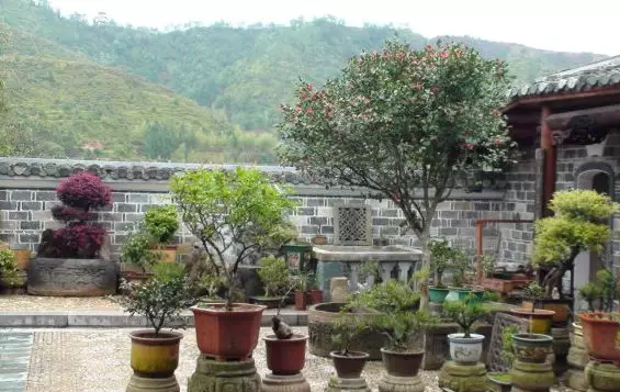 青島別墅庭院設計