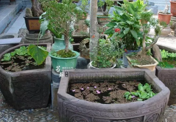 青島庭院設計施工