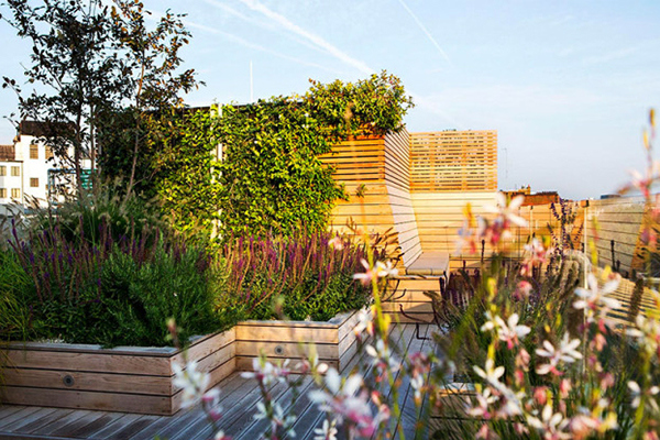 青島屋頂花園設(shè)計(jì),青島庭院設(shè)計(jì)