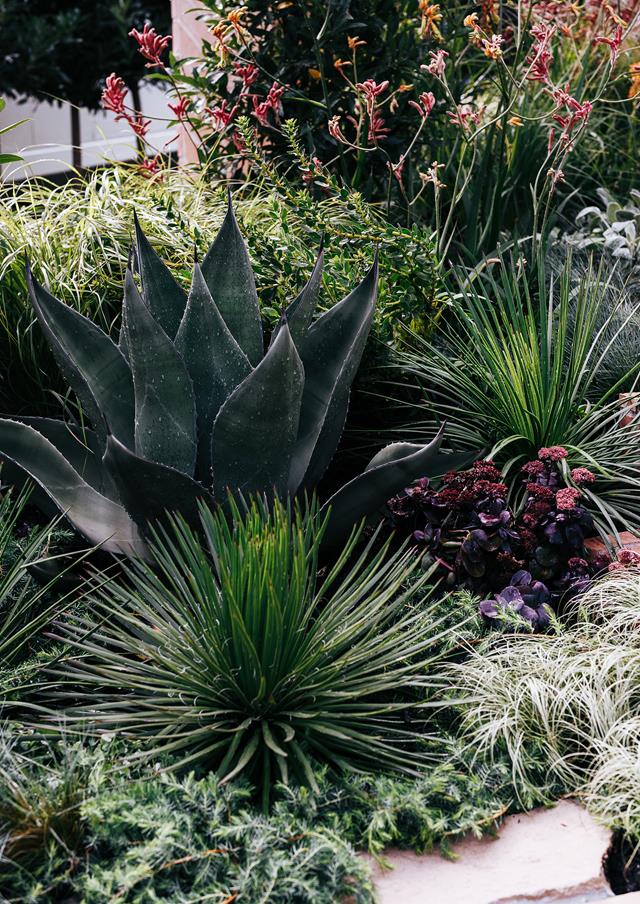 別墅庭院景觀之植物景觀設(shè)計