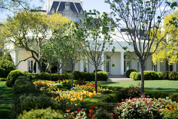 由于不太懂庭院景觀設(shè)計(jì)，特朗普總統(tǒng)一家被罵上熱搜榜