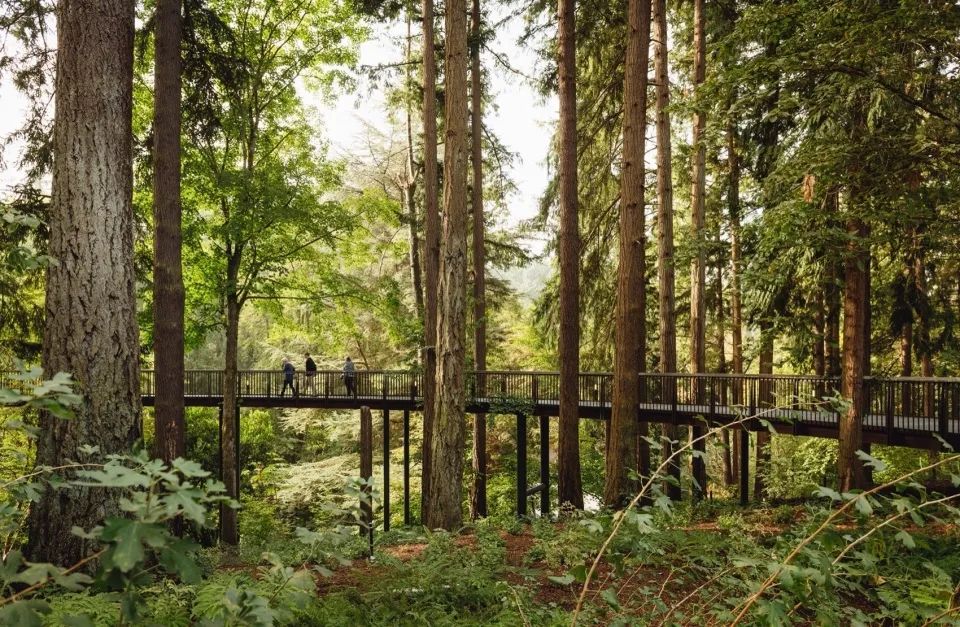 庭院施工流程和關鍵節點把控，做好了，你的花園設計自會絕美呈現