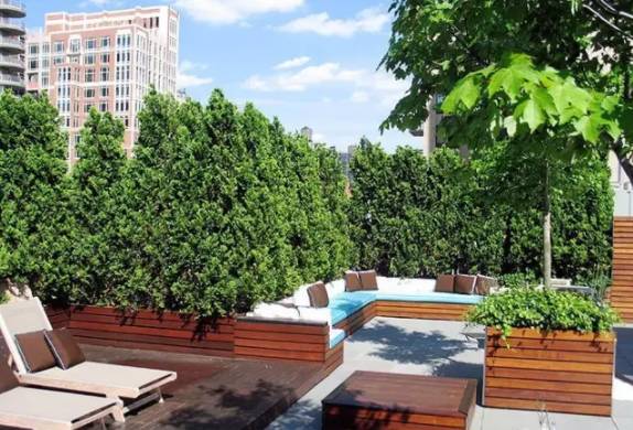 庭院中，這些植物搭配小技巧，你都掌握了嗎！