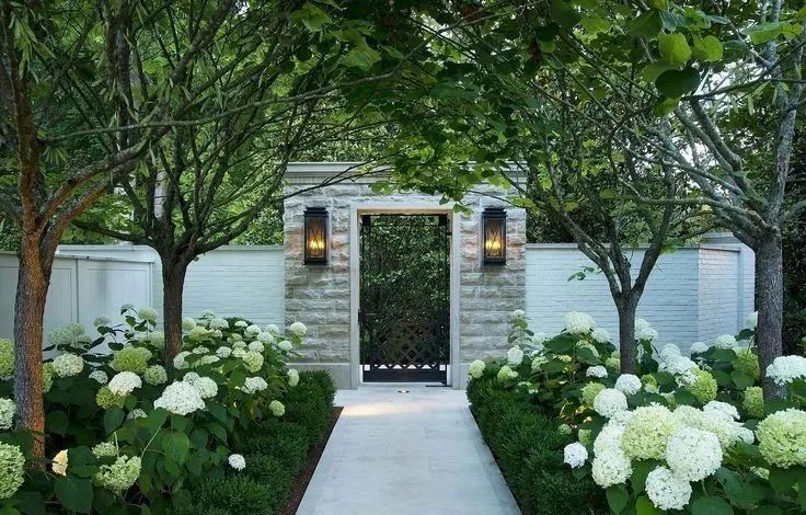 穩定與均衡 | 花園植物造景，這兩點一定要注意!