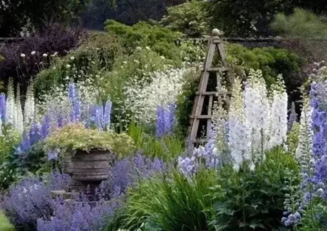 這樣打造花園，植物質感大提升，這才是庭院該有的樣子！