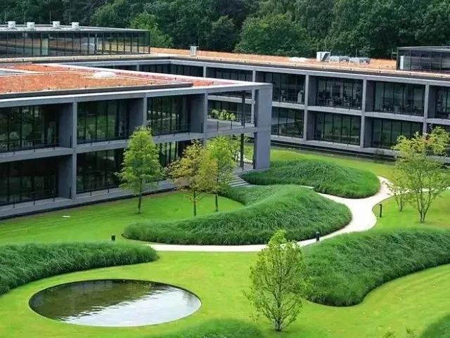 花園中不可或缺的元素——草坪，怎么設計才獨特好看呢？