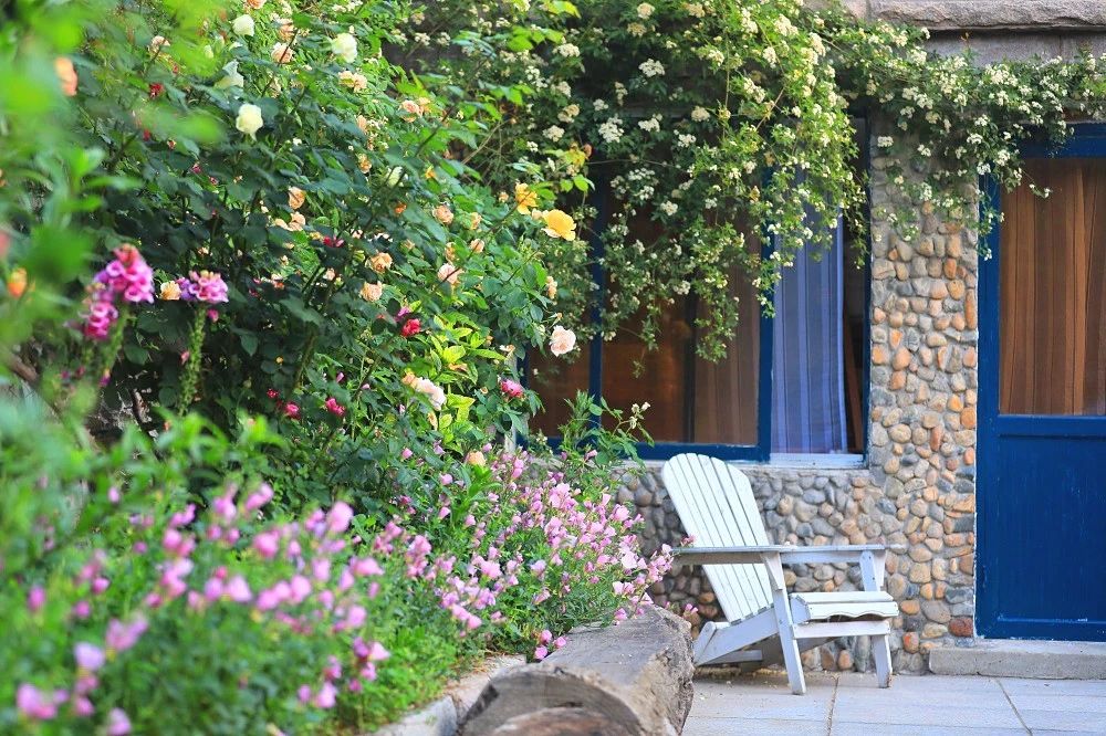 細節決定成敗，這些庭院基礎一定要打好