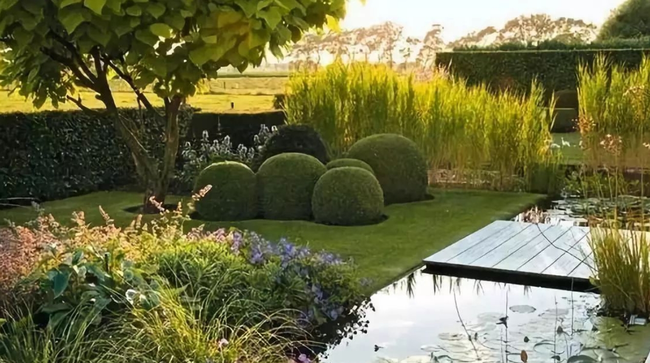 解鎖5個花園打造的關鍵點，讓你越住越舒心！