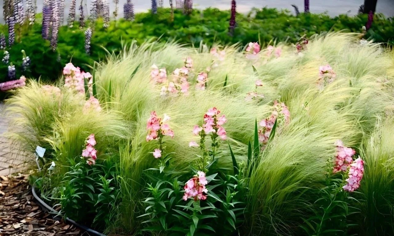 共建親子花園，讓孩子接觸身邊的大自然，度過快樂的戶外時光