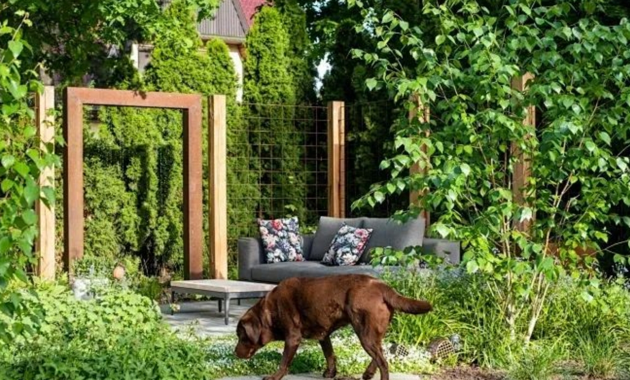 寵物友好型花園設計：讓毛孩子安全撒歡的細節