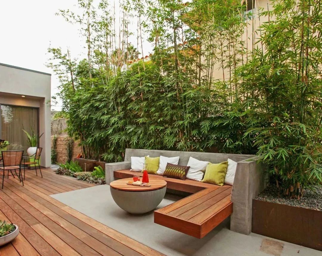 現代庭院也能有茂林修竹，種下一片清幽秀麗