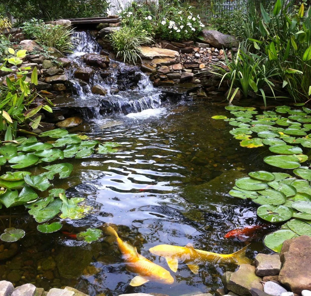 庭院水景作為氛圍感的象征，魚池必不可少！